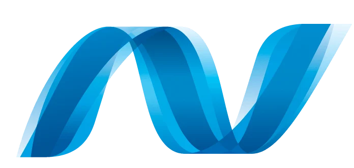 Asp.net Development Services