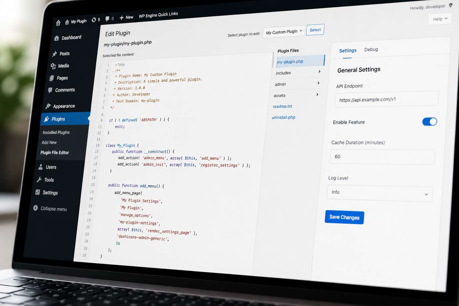 WordPress Plugin Development Services